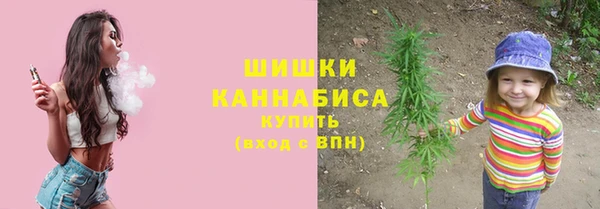 амф Елизово