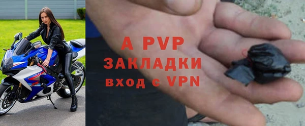 амф Елизово