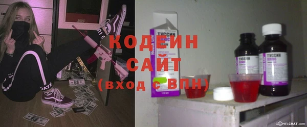 амф Елизово