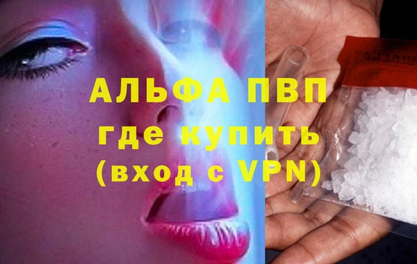 амф Елизово