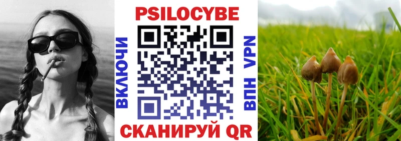 Купить  Коркино  Галлюциногенные грибы мухоморы 