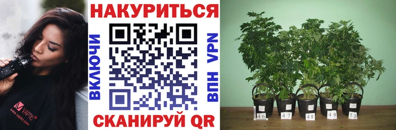 Купить закладки  Коркино  Канабис индика 
